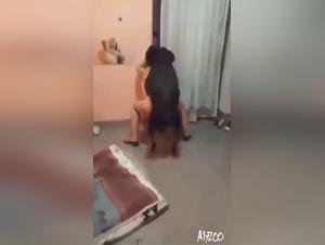 Forbidden Desires: Dogtube Secrets