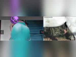 Bestial encounter between a teenager and a horse