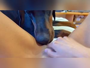 Bestiality sex video: Woman and her dog