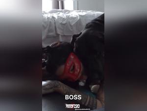 Forbidden Exploration: Beast OnlyFans