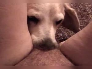 Extreme bestiality: a woman and her dog