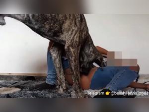 Woman and Dog - A Forbidden Intimacy