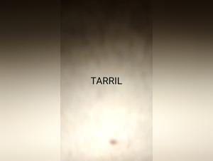 Forbidden Encounters: Bestiality Exposed