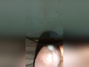 dog knot compilation explicit