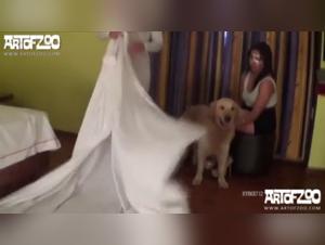 Victoria Coaching Vicky's Extreme Zooophilia Experience