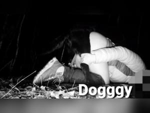 Chien Baise Femme XxX