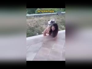 Die besten Hundeporno und Tierporno Videos