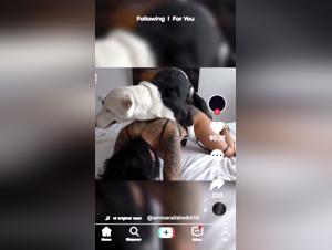 TikTok Zoosex Exposed: Animaltube Scandal