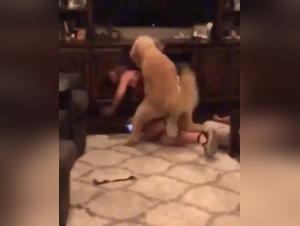 Woman and Dog: A Forbidden Dance