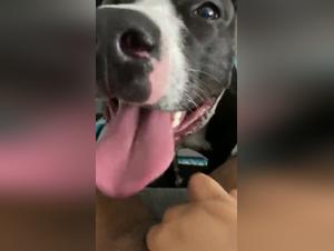 Black Woman and Dog: An Exciting Encounter on Video