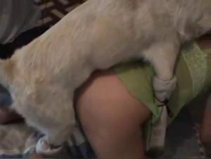 Primera Polla de Dakota con un Perro