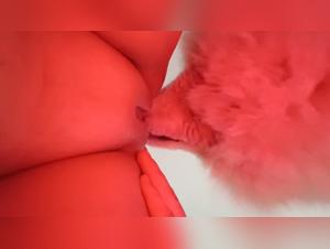 dog licking