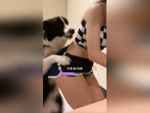 Bestiality videos with dogs in high quality