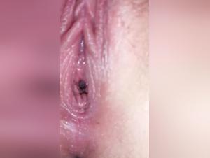 Canine Fellation After Viol and Pachyderm Rape