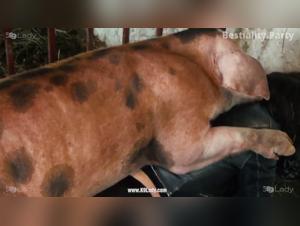 exploring extreme bestiality